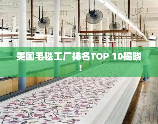 美国毛毯工厂排名TOP 10揭晓!