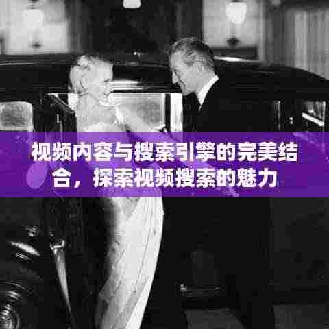 视频内容与搜索引擎的完美结合,探索视频搜索的魅力