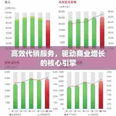 高效代销服务，驱动商业增长的核心引擎
