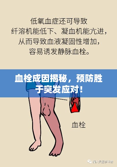 血栓成因揭秘,预防胜于突发应对!