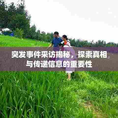 突发事件采访揭秘，探索真相与传递信息的重要性