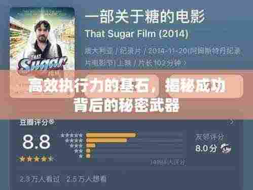 高效执行力的基石，揭秘成功背后的秘密武器