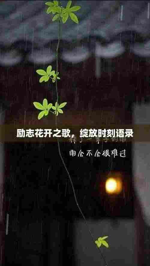 励志花开之歌，绽放时刻语录