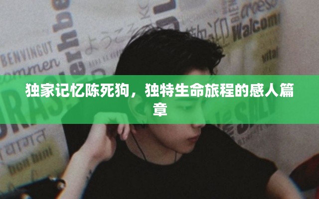 独家记忆陈死狗,独特生命旅程的感人篇章