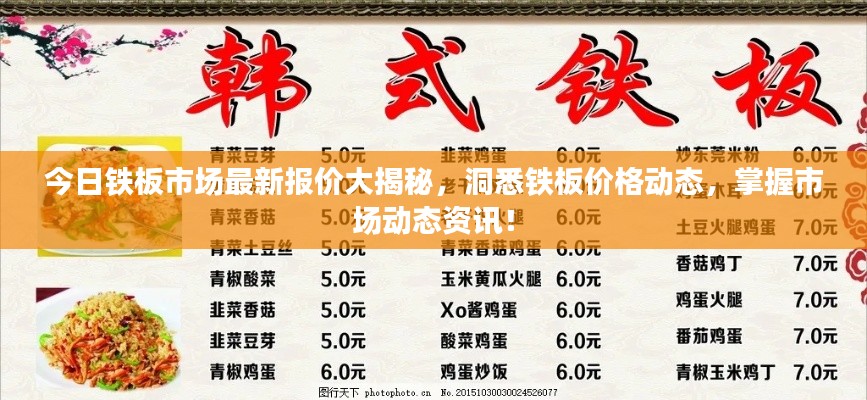 今日铁板市场最新报价大揭秘,洞悉铁板价格动态,掌握市场动态资讯!
